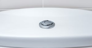 Some People Still Think These Two Buttons Are Only For Flushing