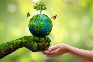 The Environment and Us: A Shared Responsibility for a Sustainable Future