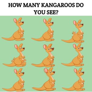 How Many Kangaroos Do you See?