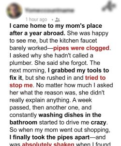 My Mom Refused to Let Me Fix the Clogged Kitchen Sink Pipes – What I Eventually Found Inside Left Me Speechless