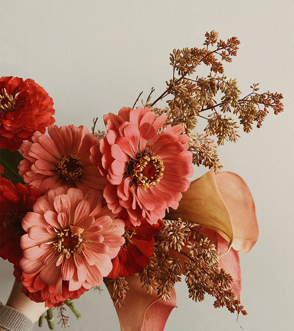 The Fascinating World of Flowers: Beauty, Symbolism, and Benefits