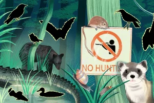 The Importance of Protecting Endangered Species and Their Ecosystems