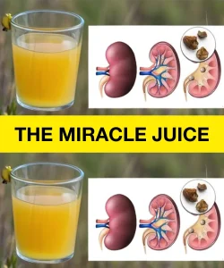 Naturally cleanse your kidneys, liver and lungs to regain energy and well-being