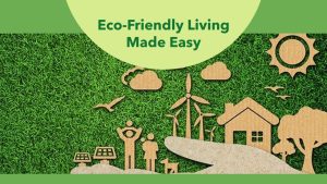 Daily Habits for a More Eco-Friendly Lifestyle