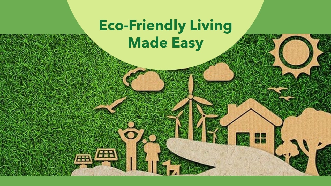 Daily Habits for a More Eco-Friendly Lifestyle