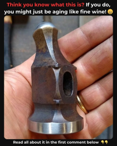 Recognize This Classic Tool? If So, You’re Definitely Not New to Craftsmanship! Uncover the Historical Importance It Held!