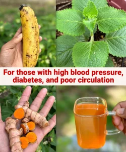 At 60 years old, I got rid of high blood pressure, diabetes, and poor circulation by drinking this powerful beverage