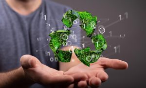 Recycling 101: What Really Belongs in the Blue Bin?