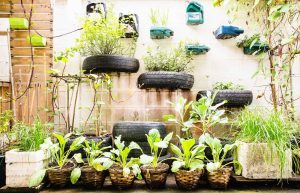 Urban Gardening in Small Spaces: How to Grow Your Own Food in a Concrete Jungle