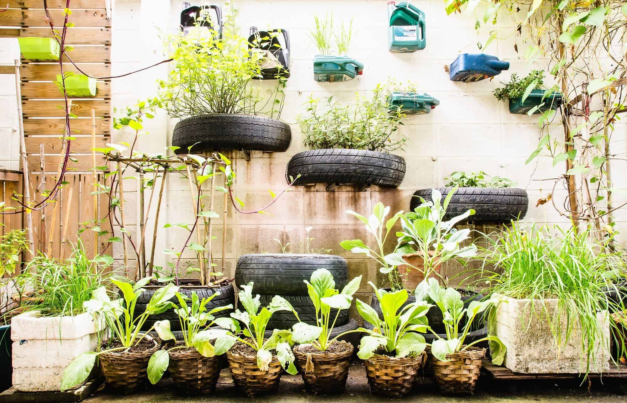 Urban Gardening in Small Spaces: How to Grow Your Own Food in a Concrete Jungle