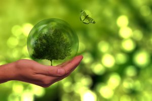 Our Environment, Our Responsibility: Understanding and Protecting the World Around Us