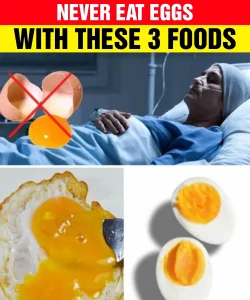 WAR:NING! Mixing Eggs with These 3 Foods Can Be Fatal