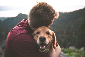 The Importance of Taking Care of Animals: A Responsibility We All Share