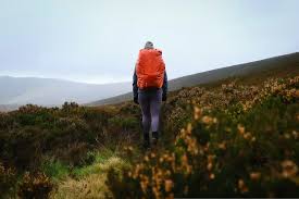 A Beginner’s Guide to Hiking and Exploring Nature Safely