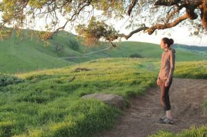 How Walking in Nature Can Transform Your Mind and Body