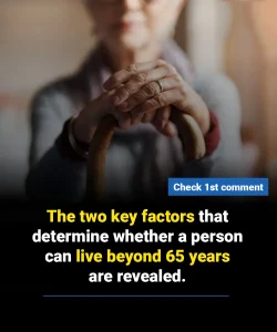 Expert reveals the two factors that determine whether a person lives to 90 years old.