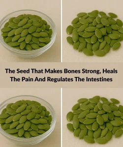 The Seed That Makes Bones Strong, Heals The Pain And Regulates The Intestines