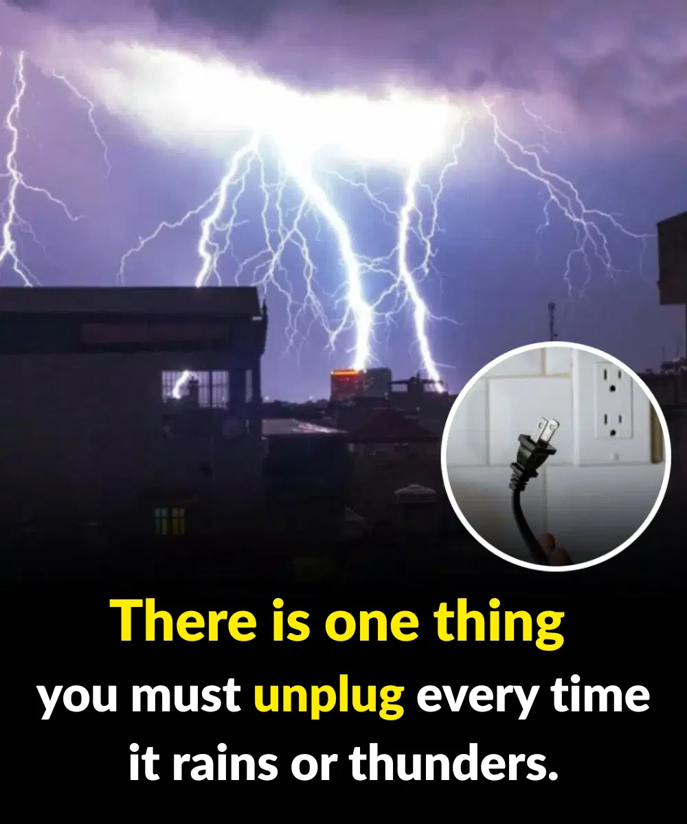 There is one thing you must unplug every time it rains or thunders.