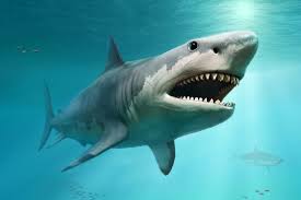 Sharks: Masters of the Ocean – A Deep Dive Into Their World