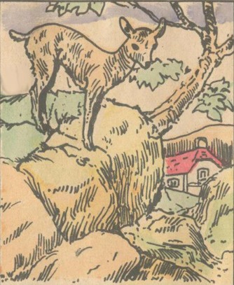 Sat all day still can not find the wolf