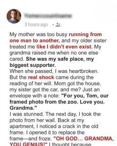 Grandma Left Me a Photo While My Mom and Sister Took Everything — Then I Saw Her True Wisdom