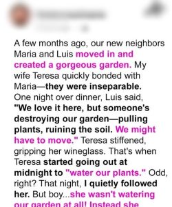 My Wife Started ‘Watering the Plants’ at Midnight – So I Peeked Outside and Couldn’t Believe What She Was Really Doing