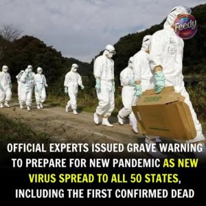 Bird Flu Hits All 50 States: Experts Sound Alarm for America’s Preparedness