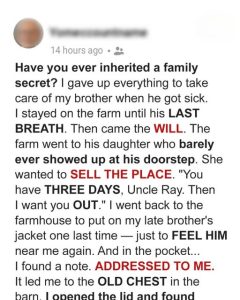 My Late Brother’s Last Will Revealed a Family Secret I Was Never Supposed to Know