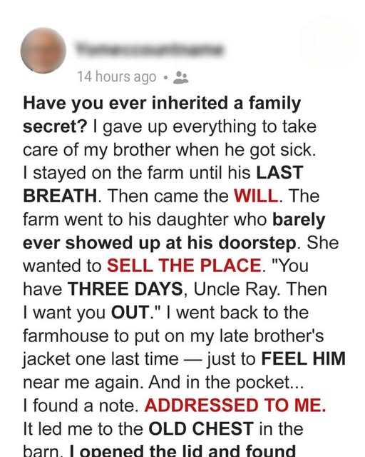 My Late Brother’s Last Will Revealed a Family Secret I Was Never Supposed to Know