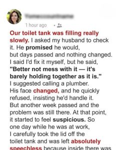 My Husband Ignored the Toilet Problem for Weeks and Refused to Call a Plumber – When I Opened the Lid, I Was Left Speechless