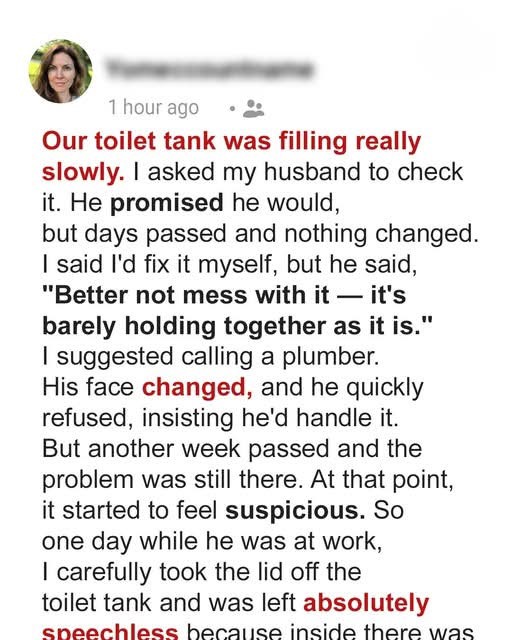 My Husband Ignored the Toilet Problem for Weeks and Refused to Call a Plumber – When I Opened the Lid, I Was Left Speechless