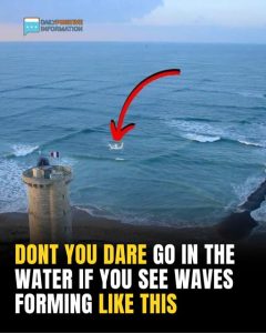If You See Square Waves Forming In The Ocean, Get Out Of The Water Immediately