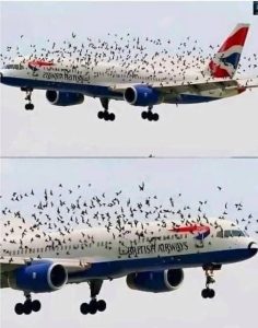 Pilot Reacted Emotionally When He Realized