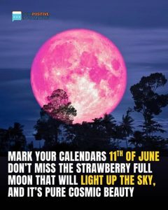 June 11 Strawberry Moon: Last Full Moon Of Spring Will Hang Low And Golden
