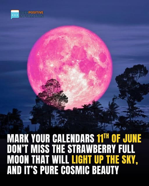 June 11 Strawberry Moon: Last Full Moon Of Spring Will Hang Low And Golden