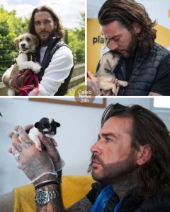 Pete Wicks Breaks Down Over Dying Dog. He cried. He paid. He begged the world not to look away. Pete Wicks met a dying dog — and vowed he wouldn’t let him die alone