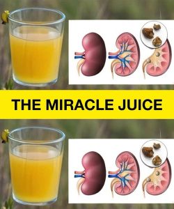 Naturally cleanse your kidneys, liver and lungs to regain energy and well-being