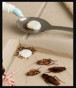 Put this in your house and you will never see flies