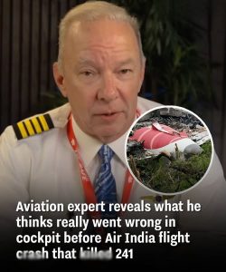 Aviation expert reveals what he thinks really went wrong in cockpit before Air India flight cra.sh that kil.led 241