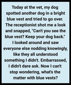 What It Means When a Dog Wears a Blue Vest, Leash, or Bandana