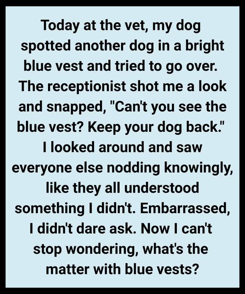 What It Means When a Dog Wears a Blue Vest, Leash, or Bandana