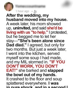 My MIL Moved Into My House and Barked, ‘If You Don’t Work, You Don’t Eat!’ – My Husband’s Reaction to the Situation Sh0cked Me to the Core