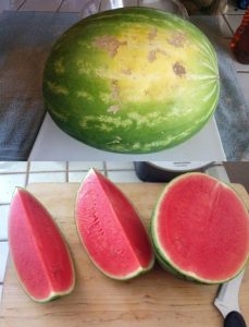 The Smart Shopper’s Guide to Picking the Best Produce