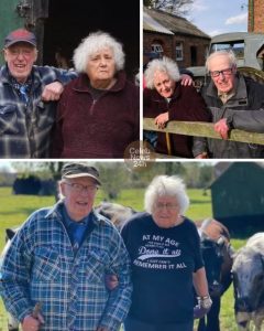 Hospital Heartbreak! She Vanished, He Waited: Steve, 96, was left home alone for the first time when Jean, 73, was taken to hospital with a serious illness – Their reunion afterward brought everyone to tears