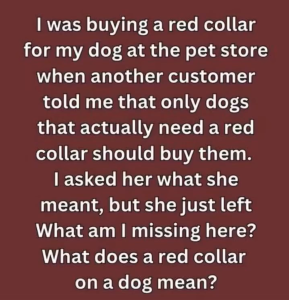 If You See a Dog in a Red Collar, Here’s What to Know