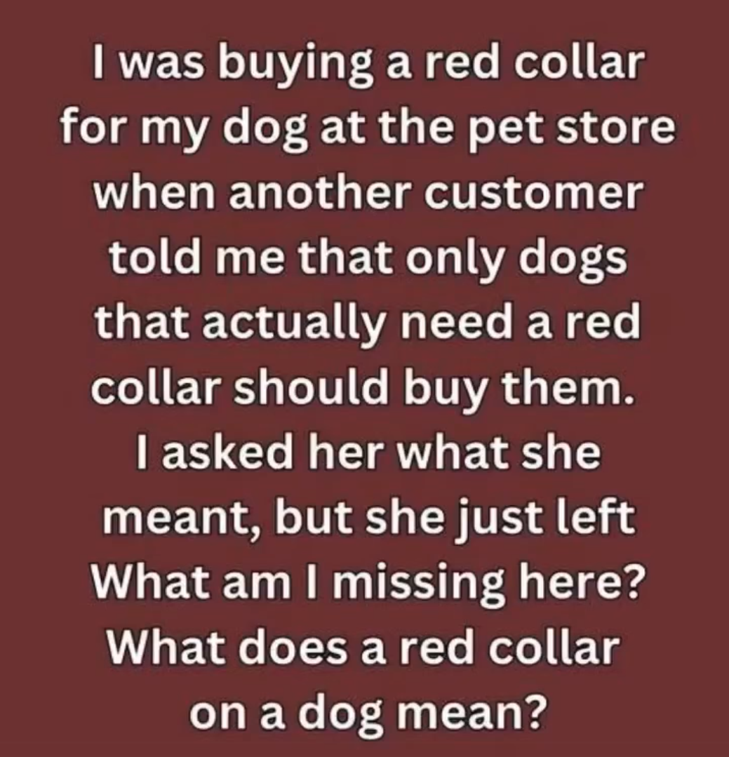 If You See a Dog in a Red Collar, Here’s What to Know