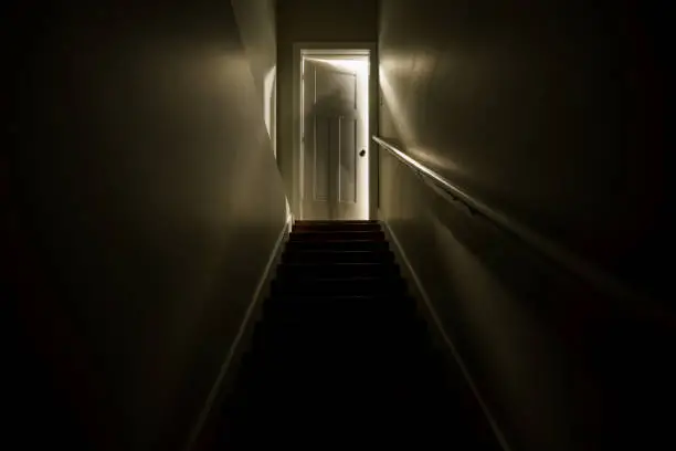 Plot Twists That Shattered Expectations Over 10 Astonishing True Stories That Redefine Reality