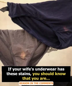 Everything You Need to Know About The Fluid That Comes Out Of