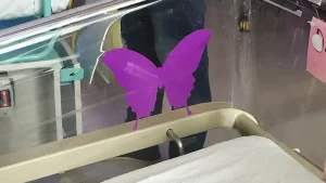 If You See A Purple Butterfly Sticker Near A Newborn, Here’s What It Means
