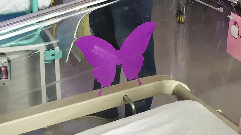 If You See A Purple Butterfly Sticker Near A Newborn, Here’s What It Means